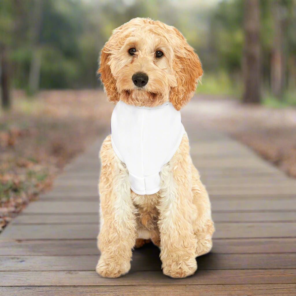 Ruh Roh Pet Hoodie - Havenly Essentials - Pet Hoodie - Printify - 31926453751206052115 - Ruh Roh Pet Hoodie